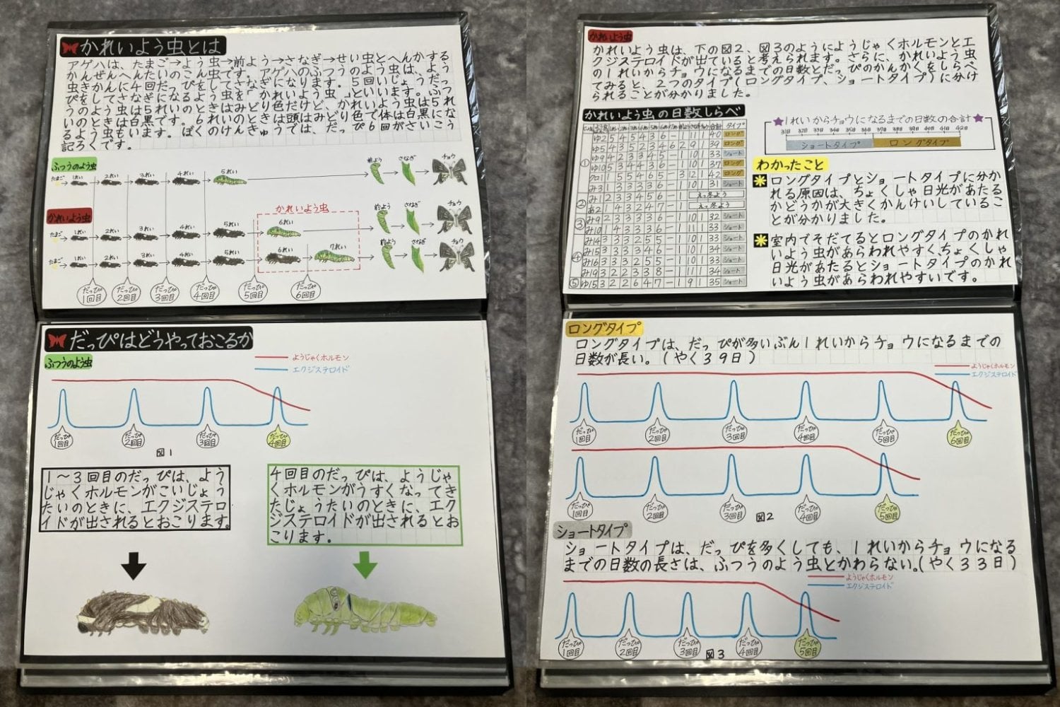 Un niño japonés quiso saber si sus mariposas recordaban la vida que habían tenido como orugas. Su experimento casero encontró algo todavía más extraño: las crías evitaron un olor que nunca habían aprendido a temer