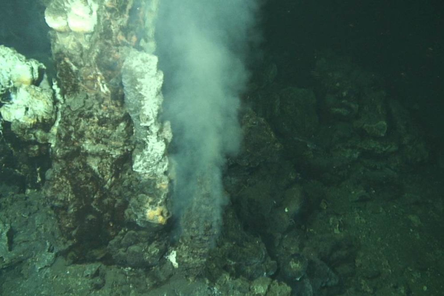 El “oro de los tontos” escondía una riqueza real bajo el océano. Científicos encontraron una concentración récord de oro invisible dentro de una caldera volcánica situada al sur de Tokio