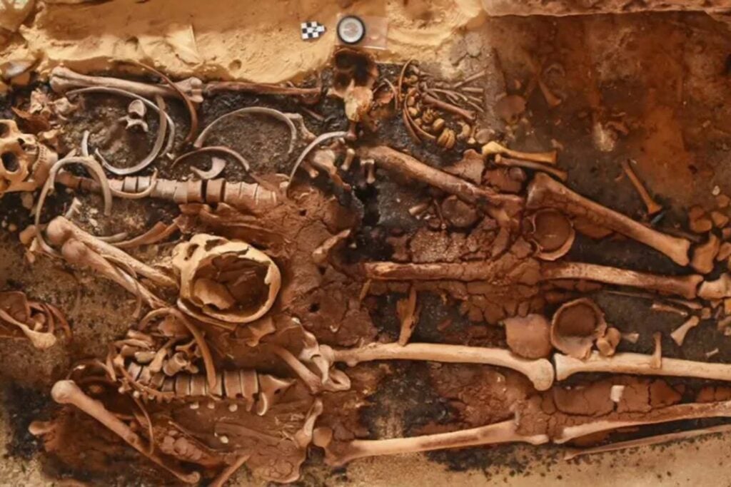 Egipto abre 18 tumbas de una ciudad portuaria perdida junto al Mediterráneo. Varias seguían selladas desde hace casi 2.000 años y ocultaban un sarcófago, esqueletos y 24 lenguas fabricadas en oro