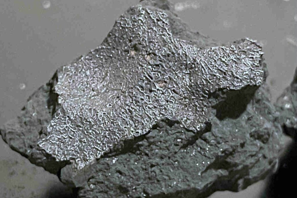 Un meteorito atravesó el techo de una casa de Nueva Jersey y su dueño lo guardó en frascos de cristal. Dos años después, su química salada está revelando cómo pudieron llegar a la Tierra los ingredientes de la vida