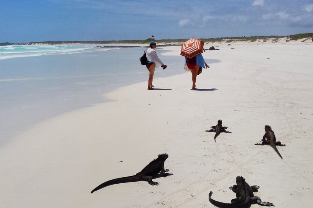 El turismo de masas ha llegado hasta uno de los ecosistemas más frágiles del planeta. Más de 1.300 alquileres vacacionales y casi 300.000 visitantes al año están llevando al límite el modelo de conservación de las islas Galápagos