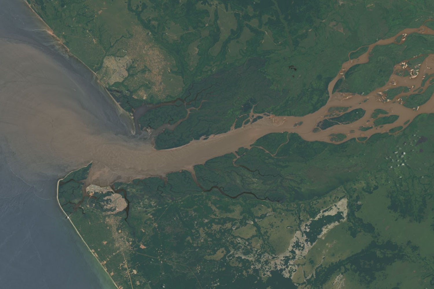 El Atlántico recibe del Congo una avalancha de agua dulce cada segundo, pero su destino era difícil de seguir. Ahora los científicos descubrieron que grandes remolinos la transportan mar adentro