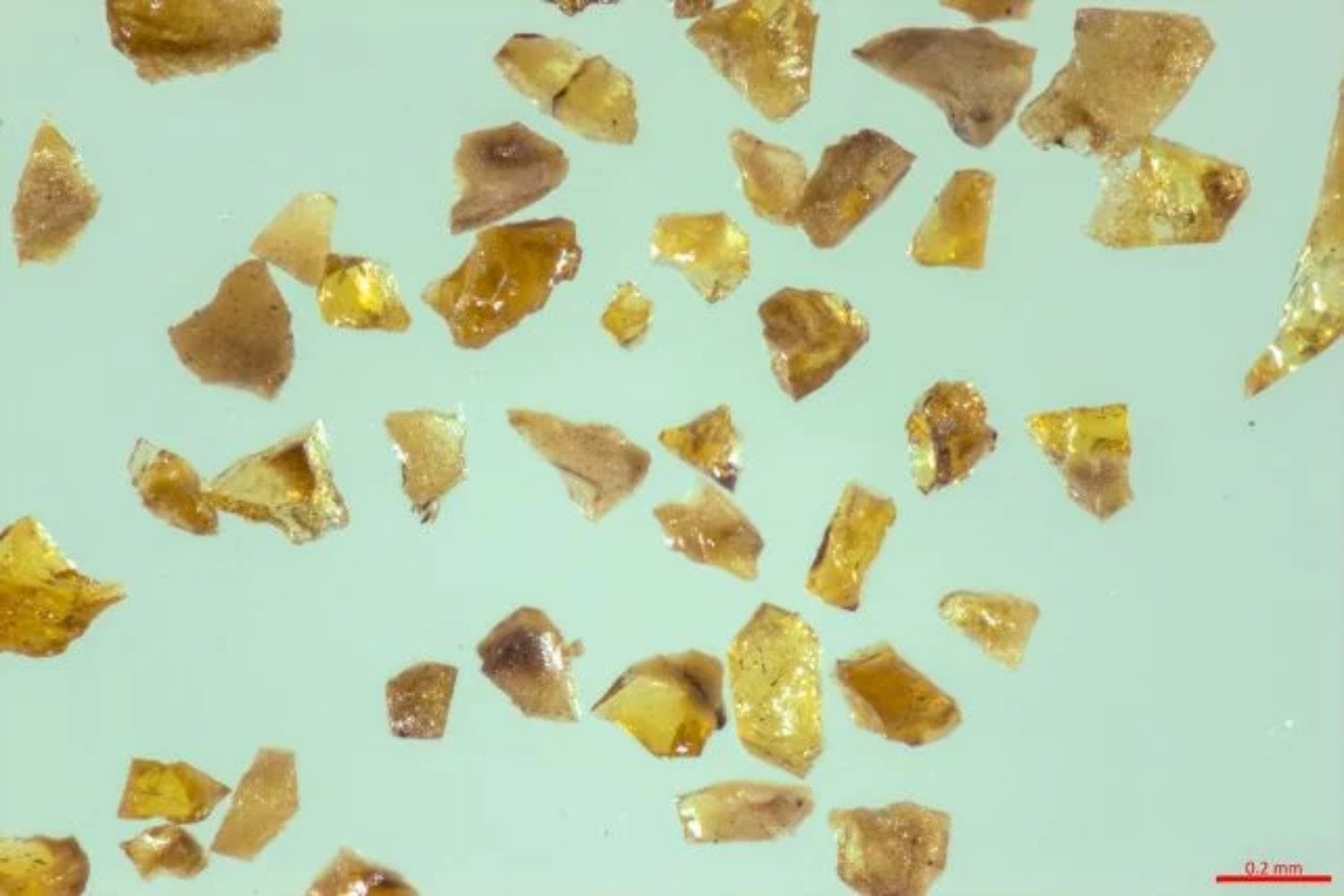 Antes de los dinosaurios y de los primeros grandes bosques, una planta ya sabía cerrar sus heridas. China ha conservado en carbón el ámbar más antiguo conocido