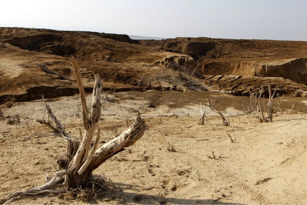La Tierra no morirá cuando el Sol se convierta en gigante roja: empezará a quedarse sin plantas mucho antes. Un nuevo cálculo alarga la cuenta atrás de la vida hasta casi 1.900 millones de años