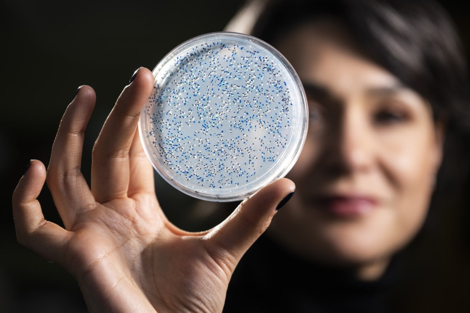 La vida dejó una firma química en rocas de hace 3.200 millones de años y los científicos han logrado reconstruirla en el laboratorio. Una enzima ancestral revela cómo sobrevivían los primeros organismos antes de que la Tierra tuviera oxígeno