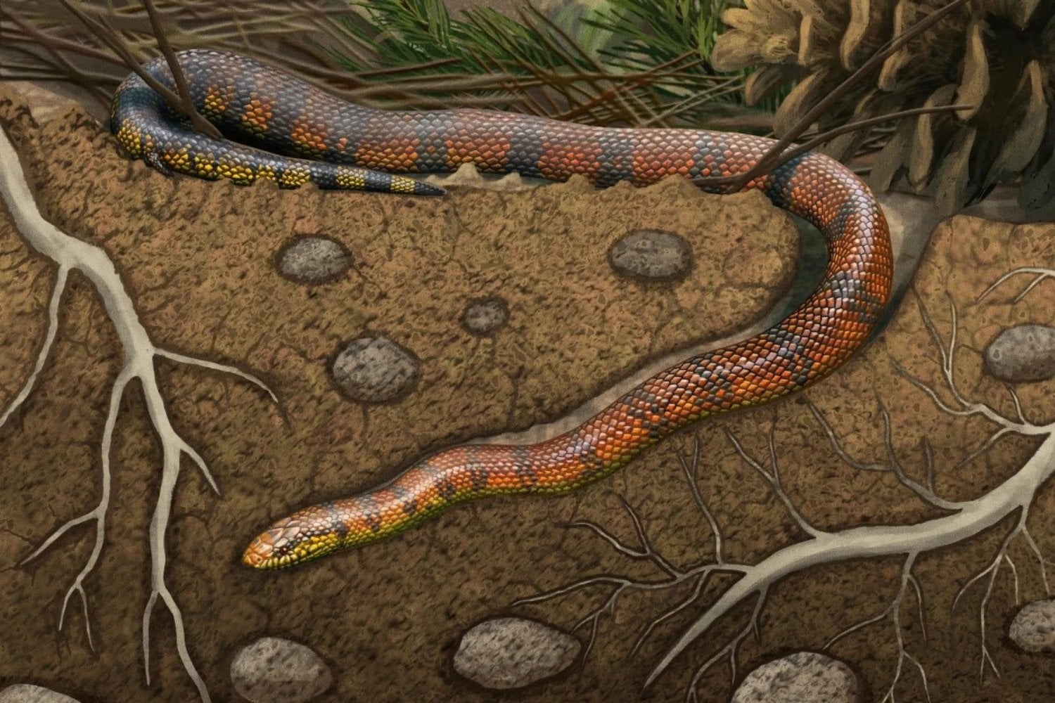 Una serpiente de hace 80 millones de años apareció en Brasil con un cerebro hecho para vivir bajo tierra. Su fósil revela que la pérdida de las patas fue mucho más extraña de lo que creíamos