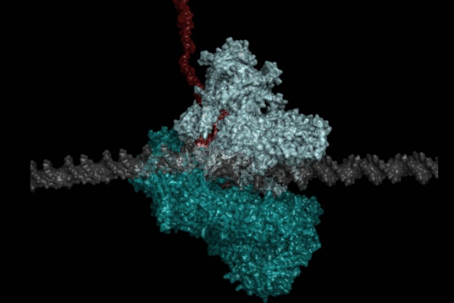 La vida dejó una firma química en rocas de hace 3.200 millones de años y los científicos han logrado reconstruirla en el laboratorio. Una enzima ancestral revela cómo sobrevivían los primeros organismos antes de que la Tierra tuviera oxígeno