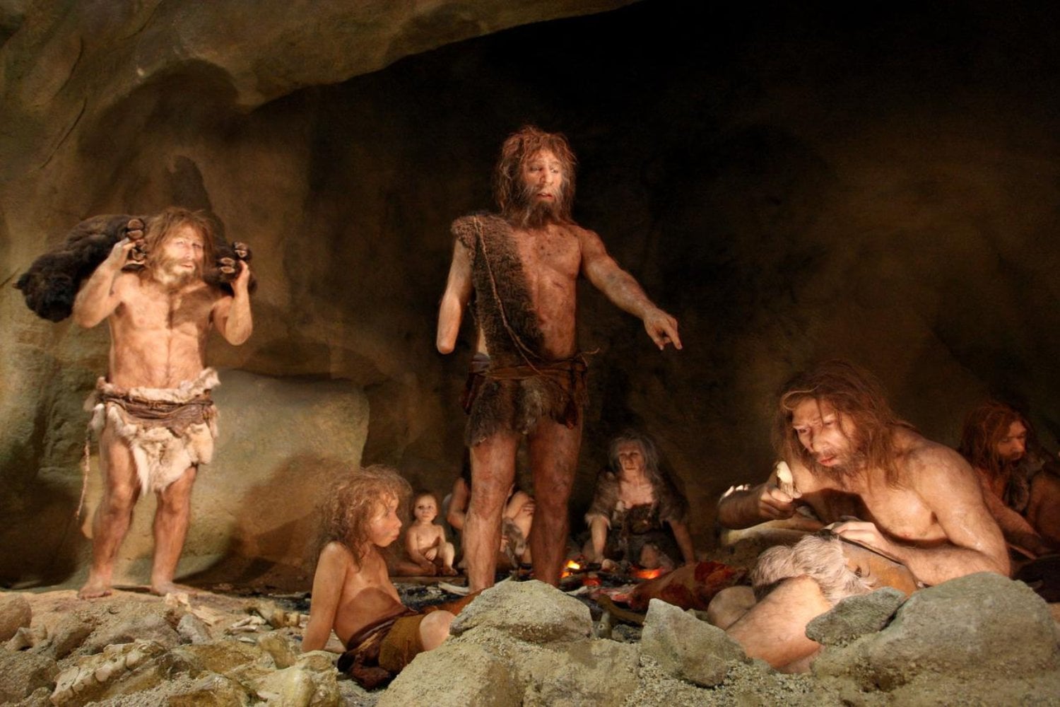 Los neandertales sobrevivieron durante 400.000 años y desaparecieron justo cuando Homo sapiens llegó a Europa. La teoría del “sapiens asesino” ya no basta: su final fue una tormenta perfecta de frío, aislamiento, competencia y mestizaje