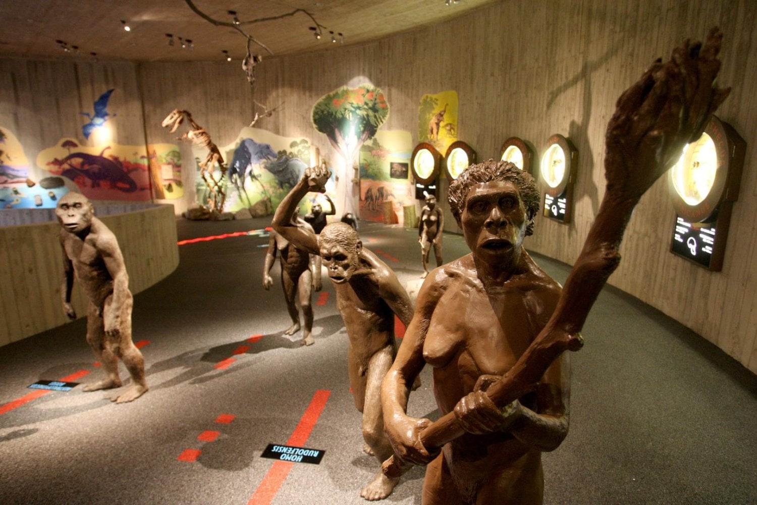 Los neandertales sobrevivieron durante 400.000 años y desaparecieron justo cuando Homo sapiens llegó a Europa. La teoría del “sapiens asesino” ya no basta: su final fue una tormenta perfecta de frío, aislamiento, competencia y mestizaje
