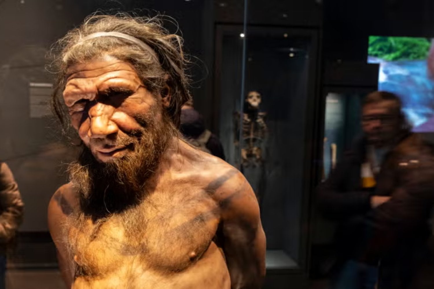 Los neandertales sobrevivieron durante 400.000 años y desaparecieron justo cuando Homo sapiens llegó a Europa. La teoría del “sapiens asesino” ya no basta: su final fue una tormenta perfecta de frío, aislamiento, competencia y mestizaje