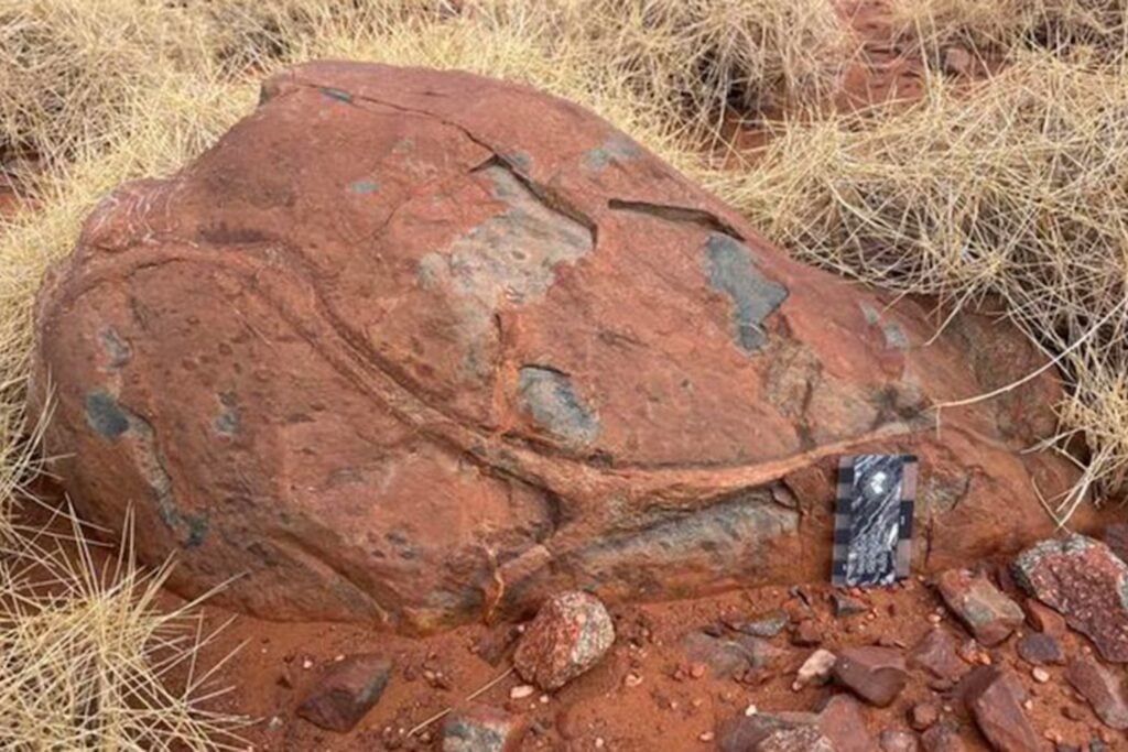 Unas rocas australianas de 3.100 millones de años acaban de cambiar la historia del agua en la Tierra. El hallazgo sugiere que ya viajaba hacia el manto antes de la tectónica moderna