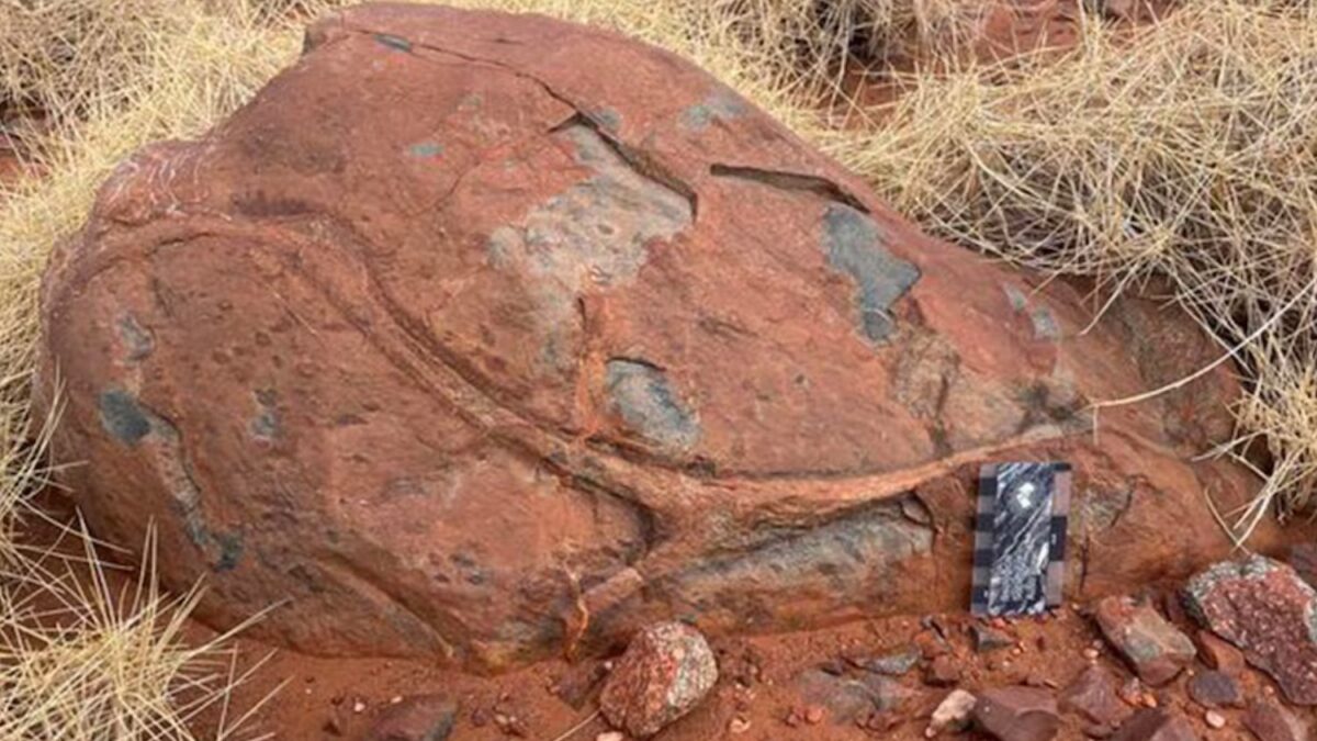 Unas rocas australianas de 3.100 millones de años acaban de cambiar la historia del agua en la Tierra. El hallazgo sugiere que ya viajaba hacia el manto antes de la tectónica moderna