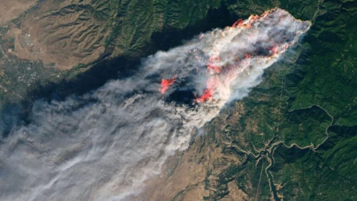 Lanzan satélites que pueden detectar incendios forestales antes de que se propaguen y causen desastres