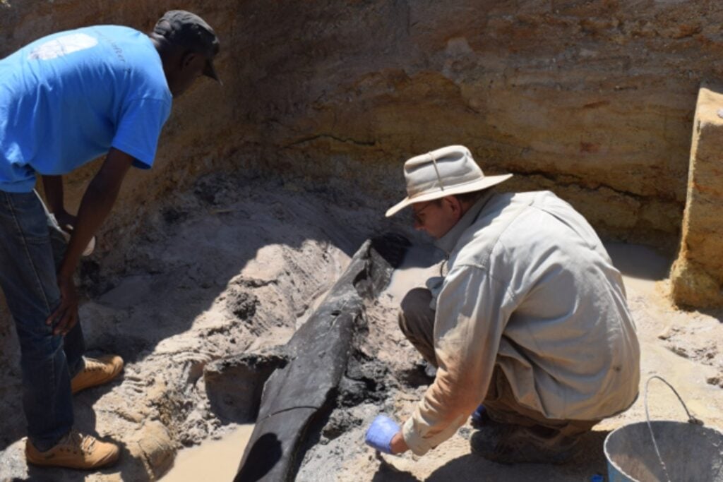 Unos humanos que todavía no eran Homo sapiens encajaron dos grandes troncos hace 476.000 años. La construcción obliga a replantear todo lo que creíamos sobre la llamada Edad de Piedra