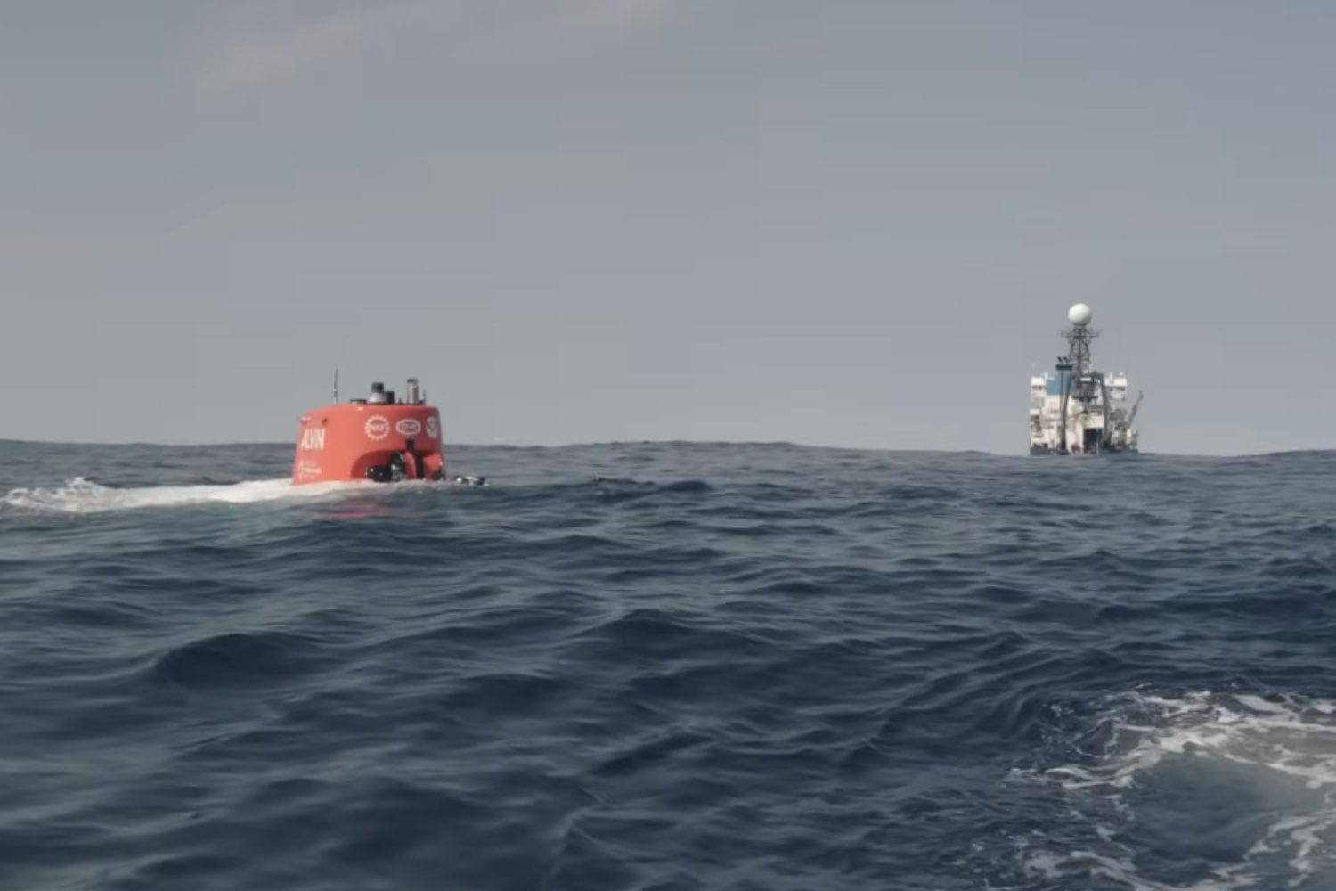 Un submarino bajó 390 metros en Canadá y encontró el último barco de Shackleton cubierto de vida