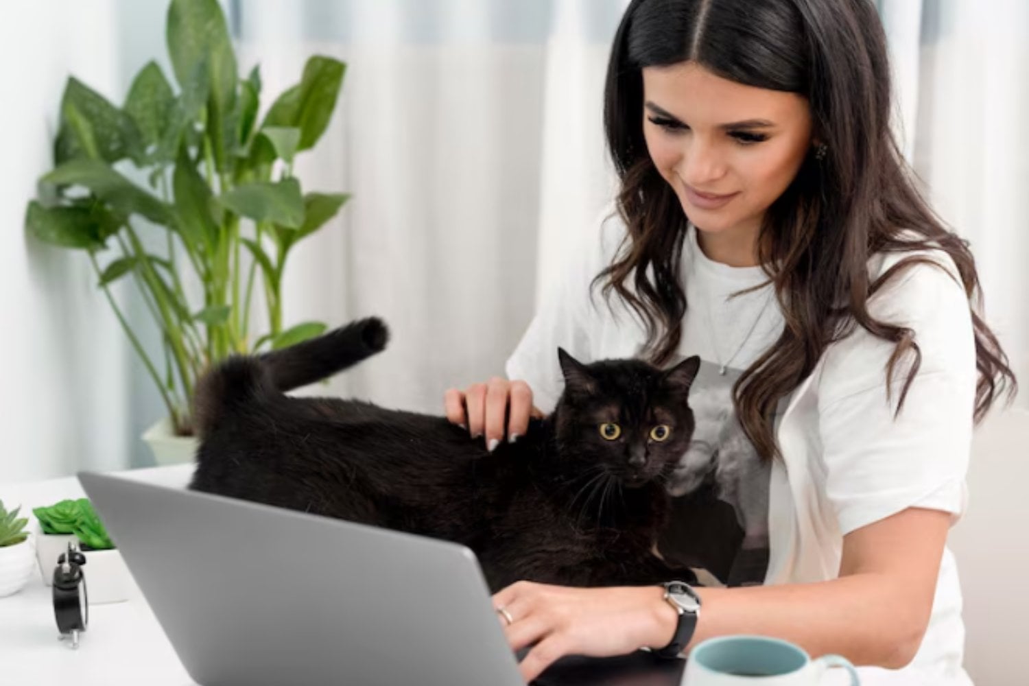 Tu gato ha aprendido que acostarse sobre el teclado consigue una respuesta inmediata