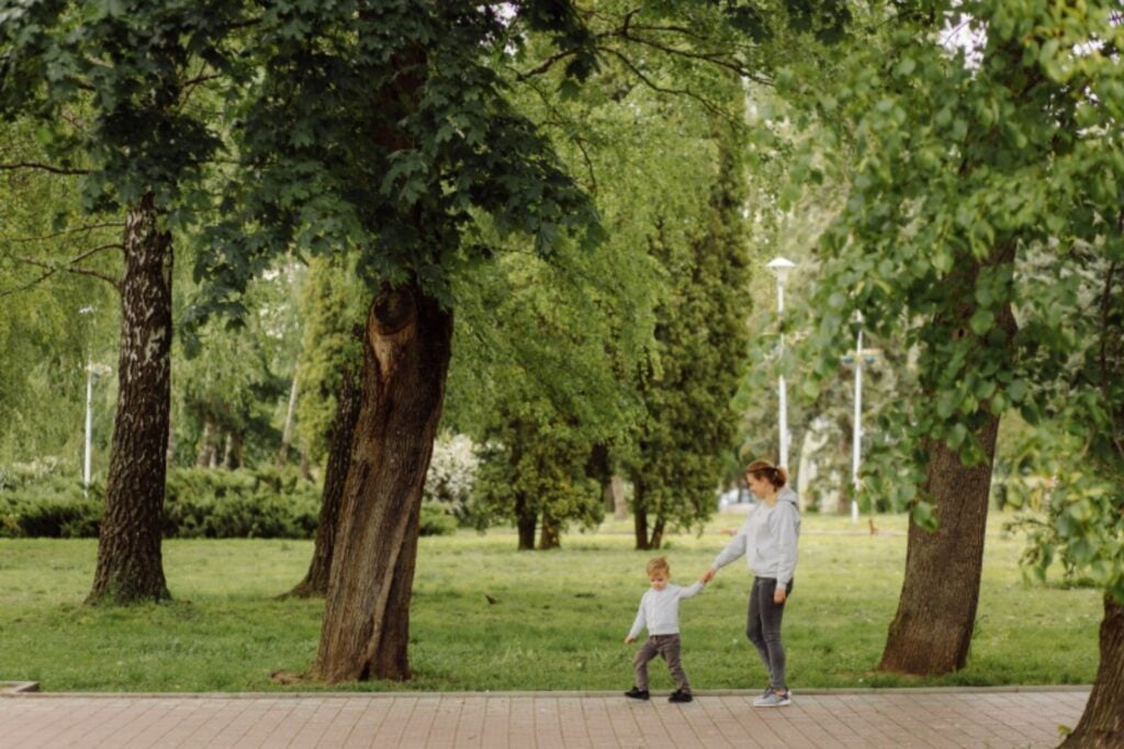 Las ciudades creían que necesitaban más zonas verdes. La ciencia aclara que lo importante son los árboles