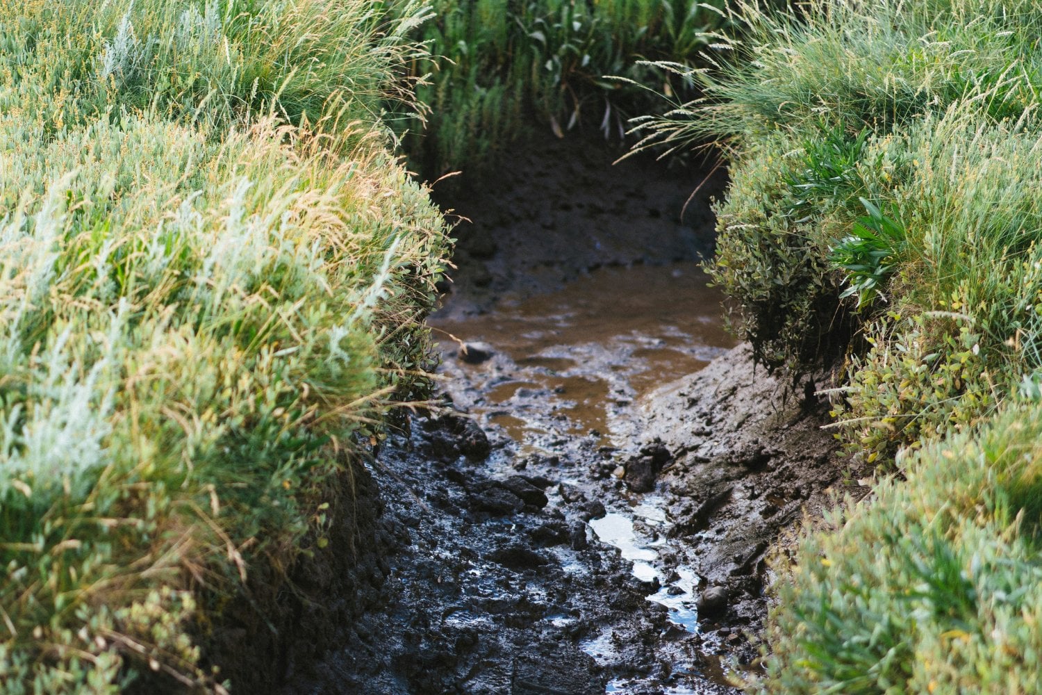 Aguas Subterraneas