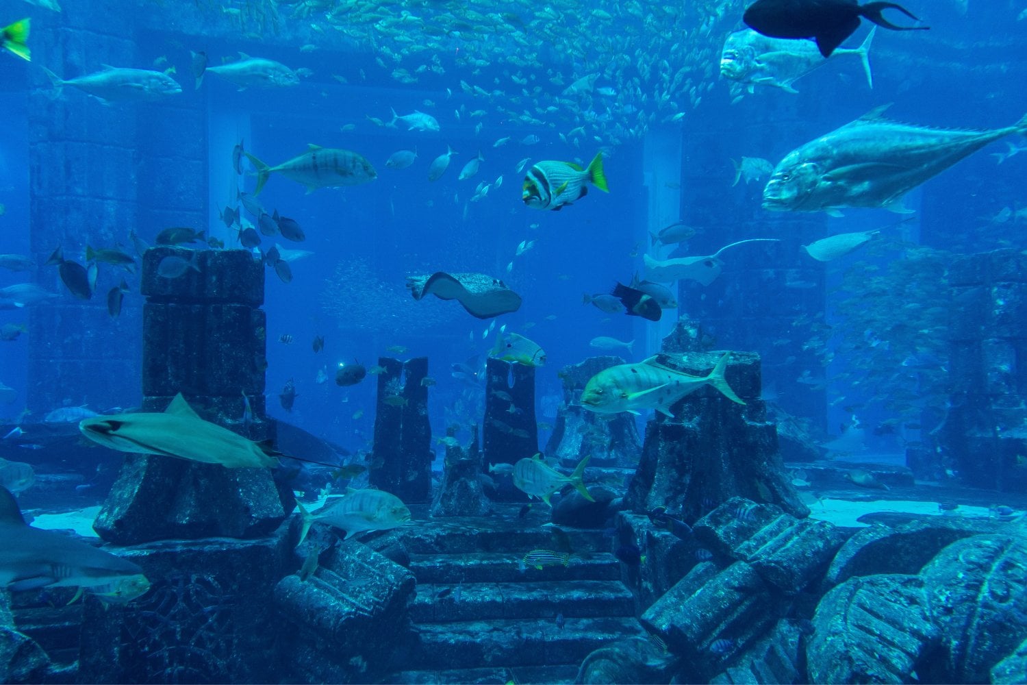 Atlantis