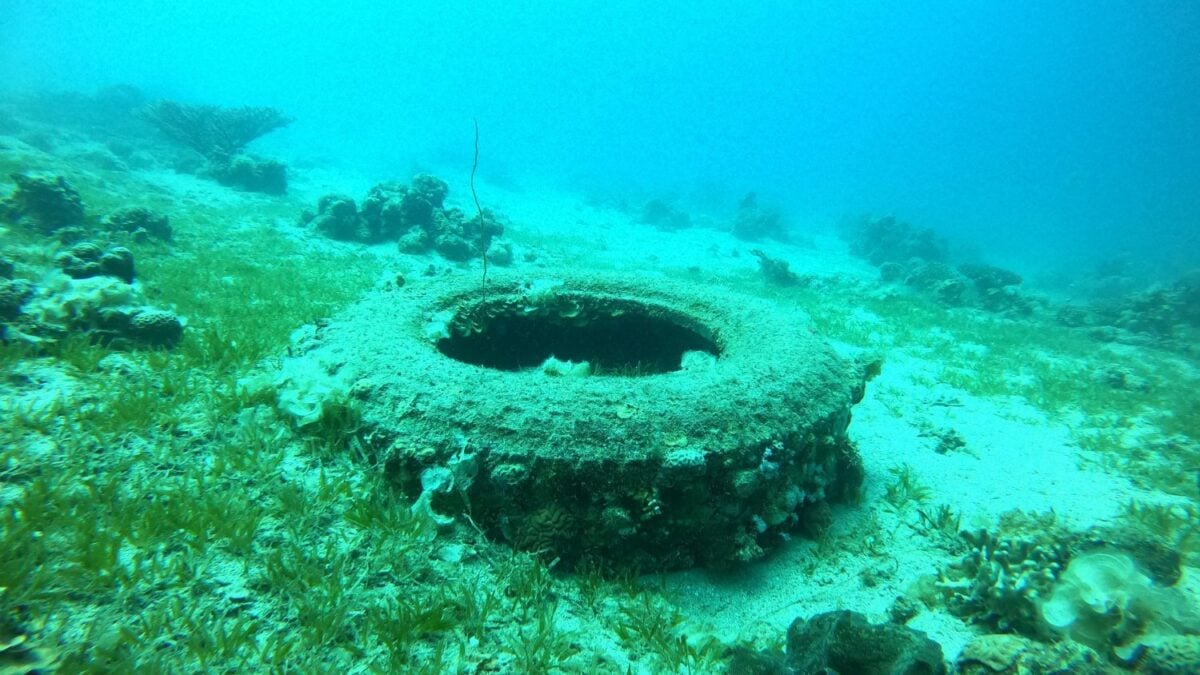 Un robot submarino recorrió el fondo del Mar Argentino a casi 4.000 metros y encontró redes de pesca, bolsas y un cassette VHS: es el primer relevamiento científico de basura en esas profundidades
