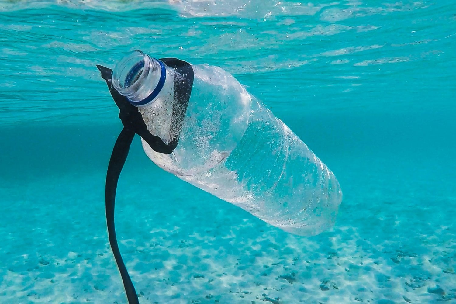 Basura Marina