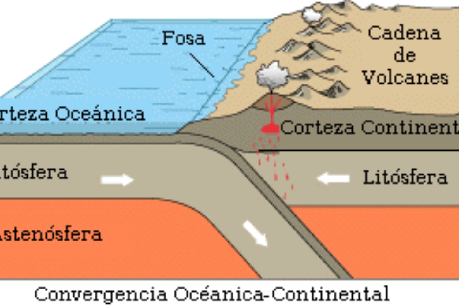 Cordillera De Los Andes