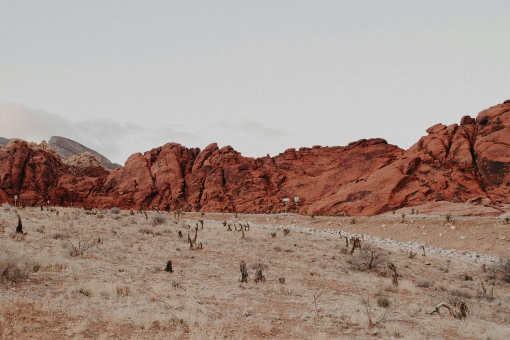 Desierto
