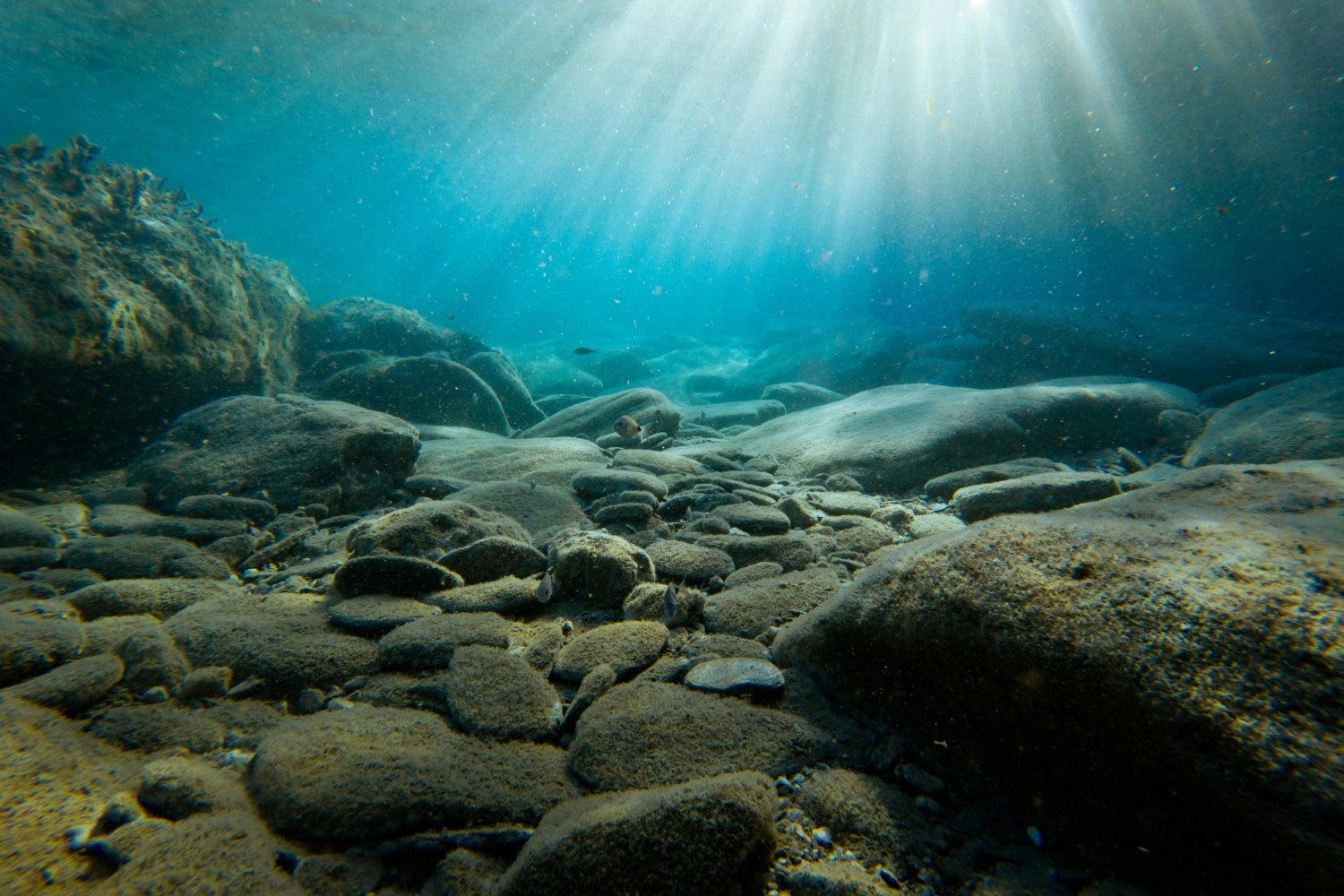 Fondo Del Mar
