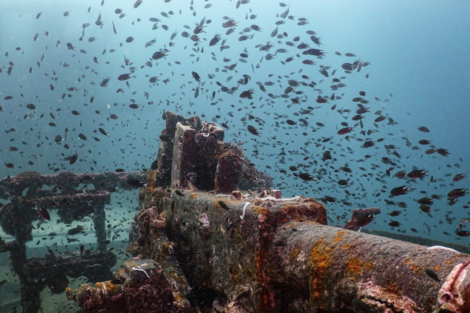 Fondo Del Oceano