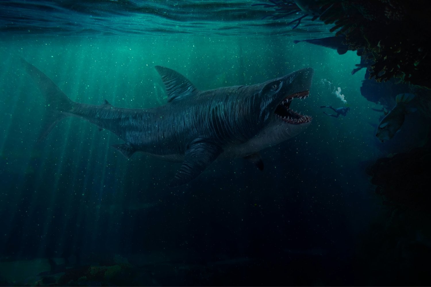 Megalodon