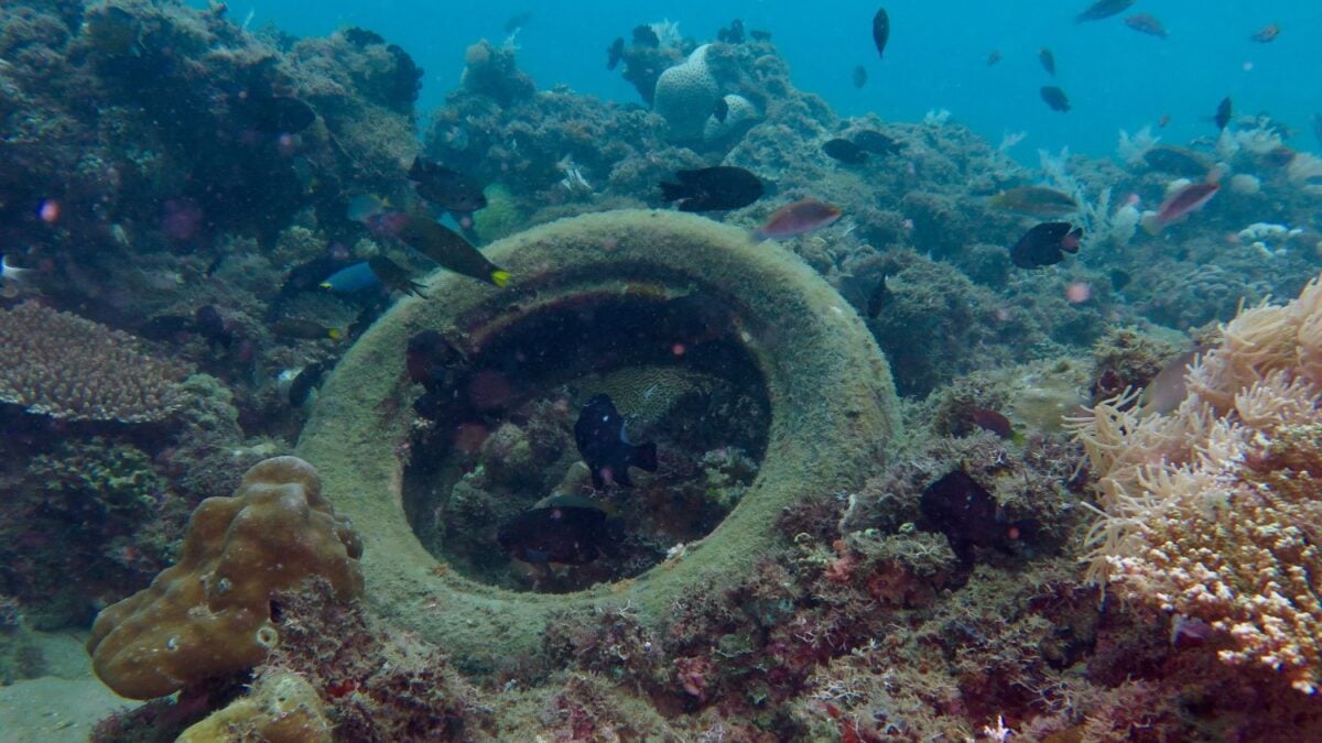 Un plan de los años 70 para crear vida marina con neumáticos terminó siendo un desastre ambiental: 56 años después todavía quedan más de 500.000 en el fondo del mar