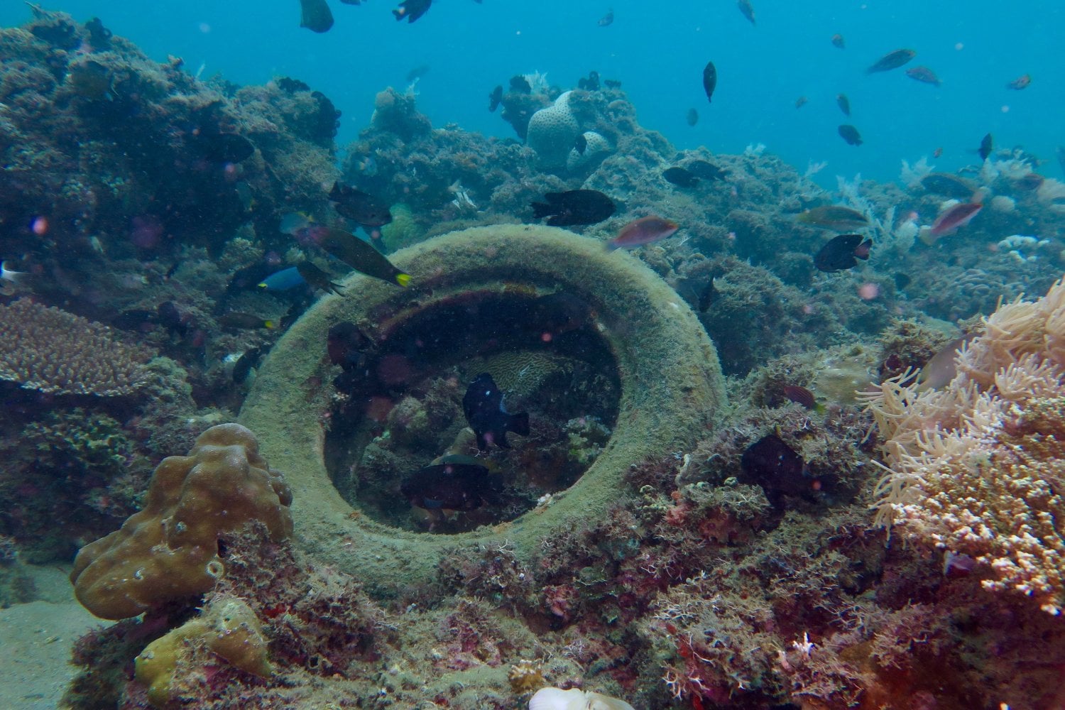 Neumaticos En El Mar