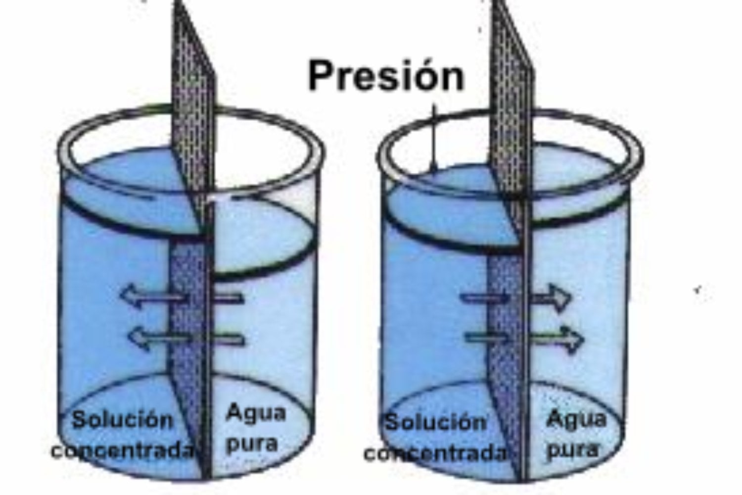 Osmosis Inversa
