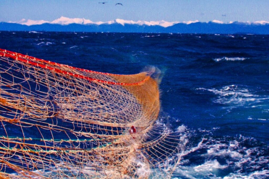 Pesca De Arrastre