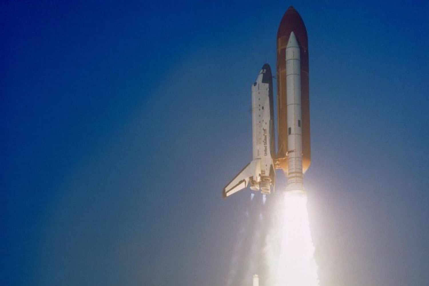 La NASA encerró 3.300 abejas en el Challenger para comprobar si sabían construir sin gravedad. Siete días después habían levantado 200 centímetros cuadrados de panal