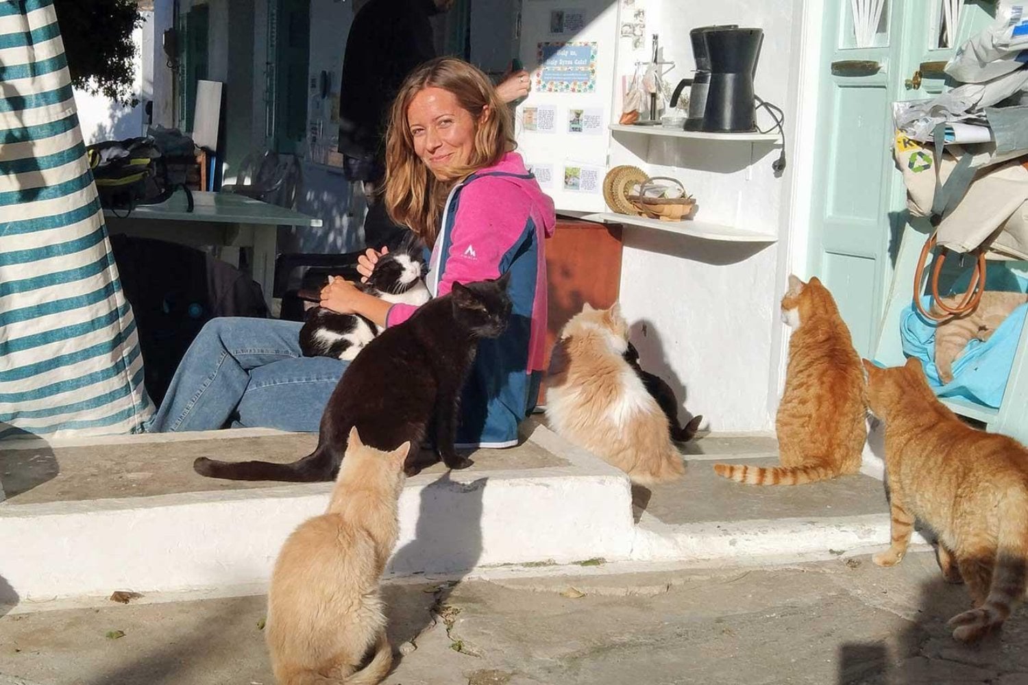 Una isla griega busca voluntarios para pasar un mes entre gatos a cambio de alojamiento gratis. El trato exige 30 horas semanales y las solicitudes para 2027 abren en septiembre
