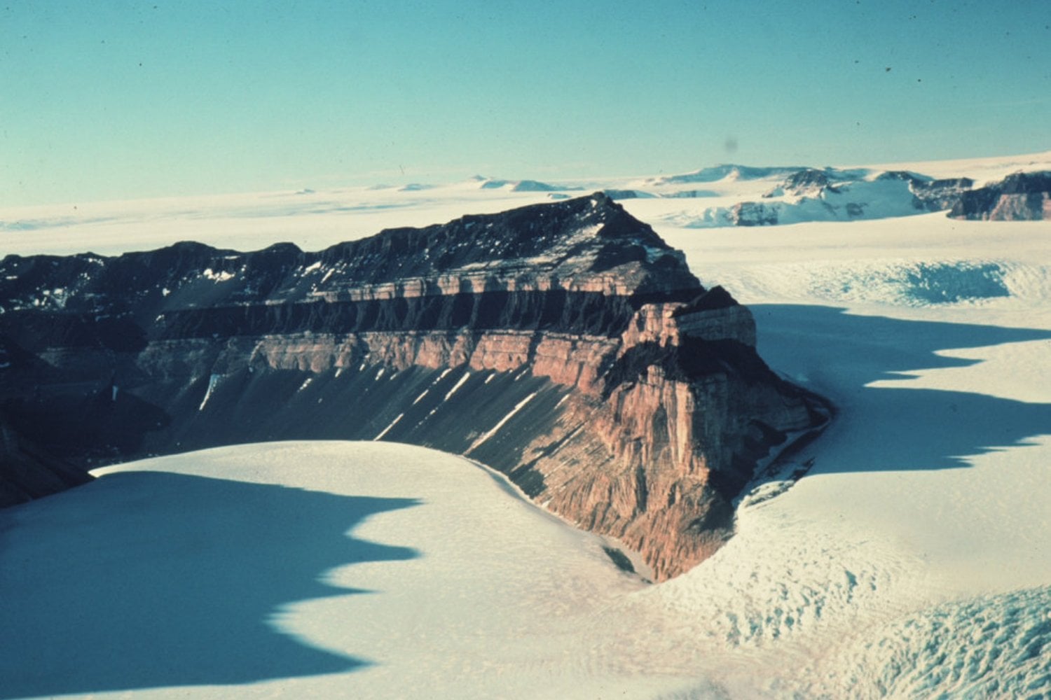 Científicos reactivaron microbios atrapados en hielo antártico de hasta ocho millones de años. Su ADN puso un límite inquietante a la idea de que la vida llegó desde otras estrellas