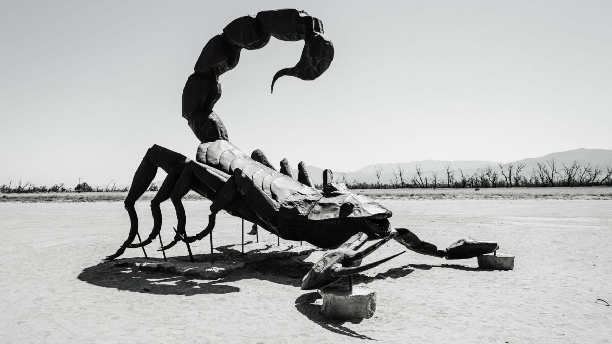 La ciencia resuelve un misterio de 150 años y confirma que este fósil era un escorpión gigante