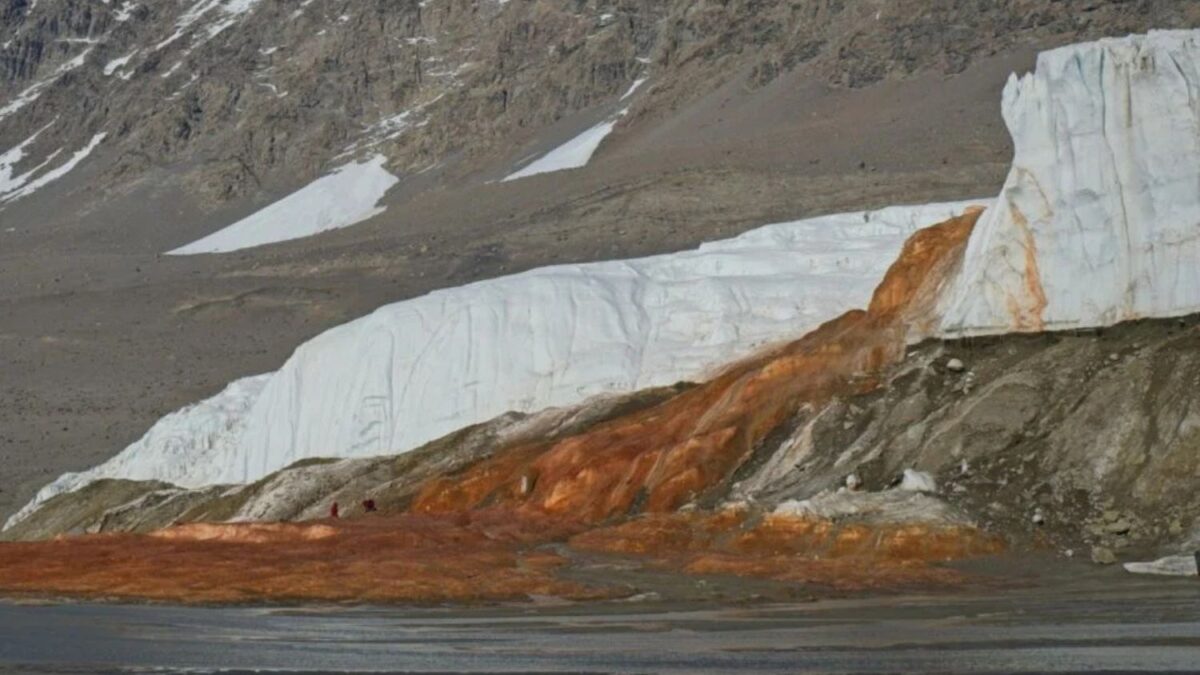 La vida antigua descubierta en las Cascadas de Sangre de la Antártida podría resolver un misterio de larga data