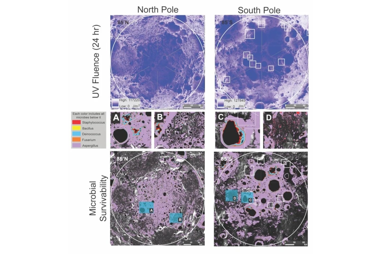 Diseño Sin Título 2026 08 22t100952.670