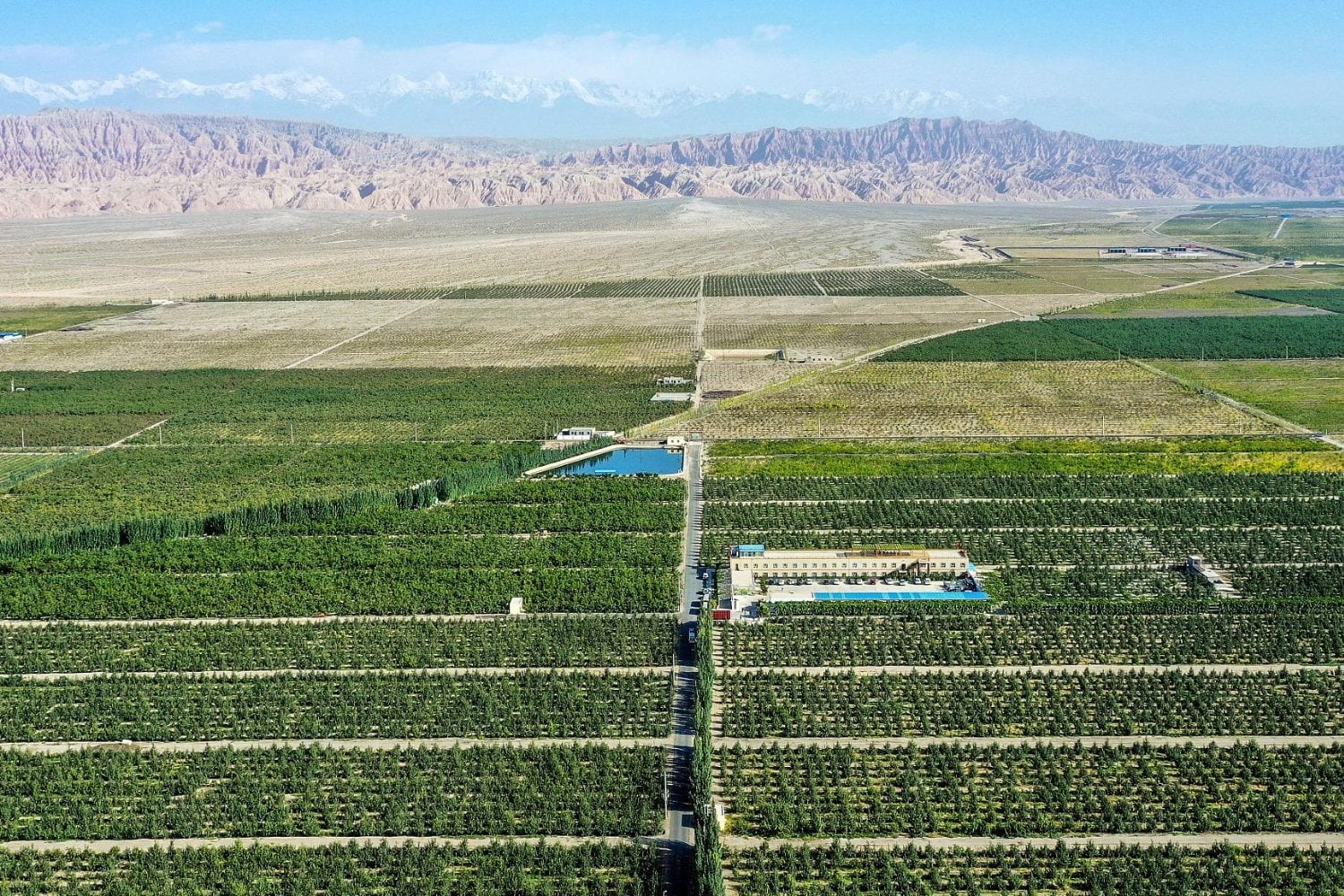 China lleva 48 años levantando una muralla verde alrededor de uno de los desiertos más extremos del planeta. Ahora el Taklamakan está empezando a absorber más CO₂ del que libera