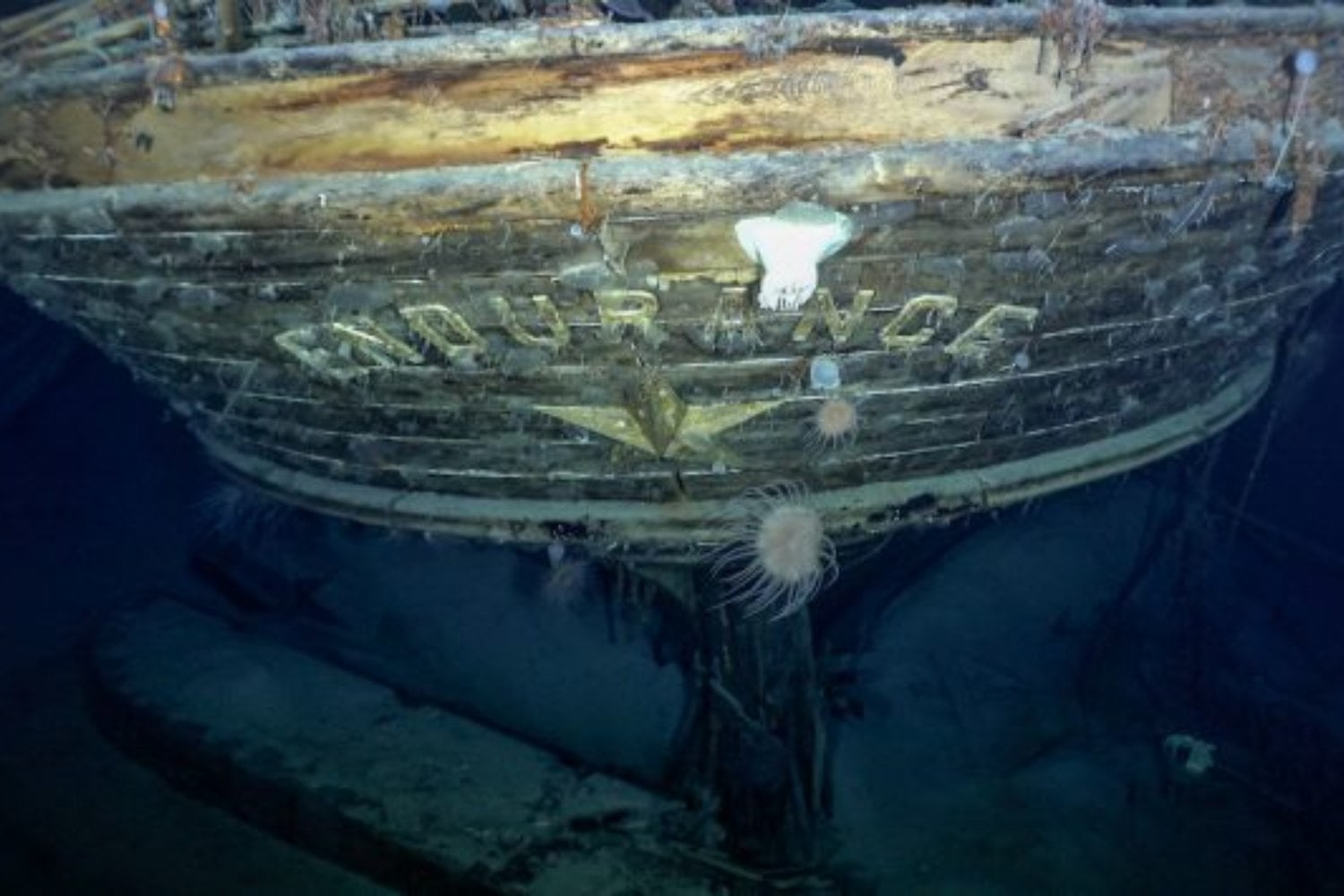 El hielo de la Antártida trituró su barco y dejó a 28 hombres abandonados en el fin del mundo. 107 años después encontraron el Endurance a 3.008 metros y seguía increíblemente intacto