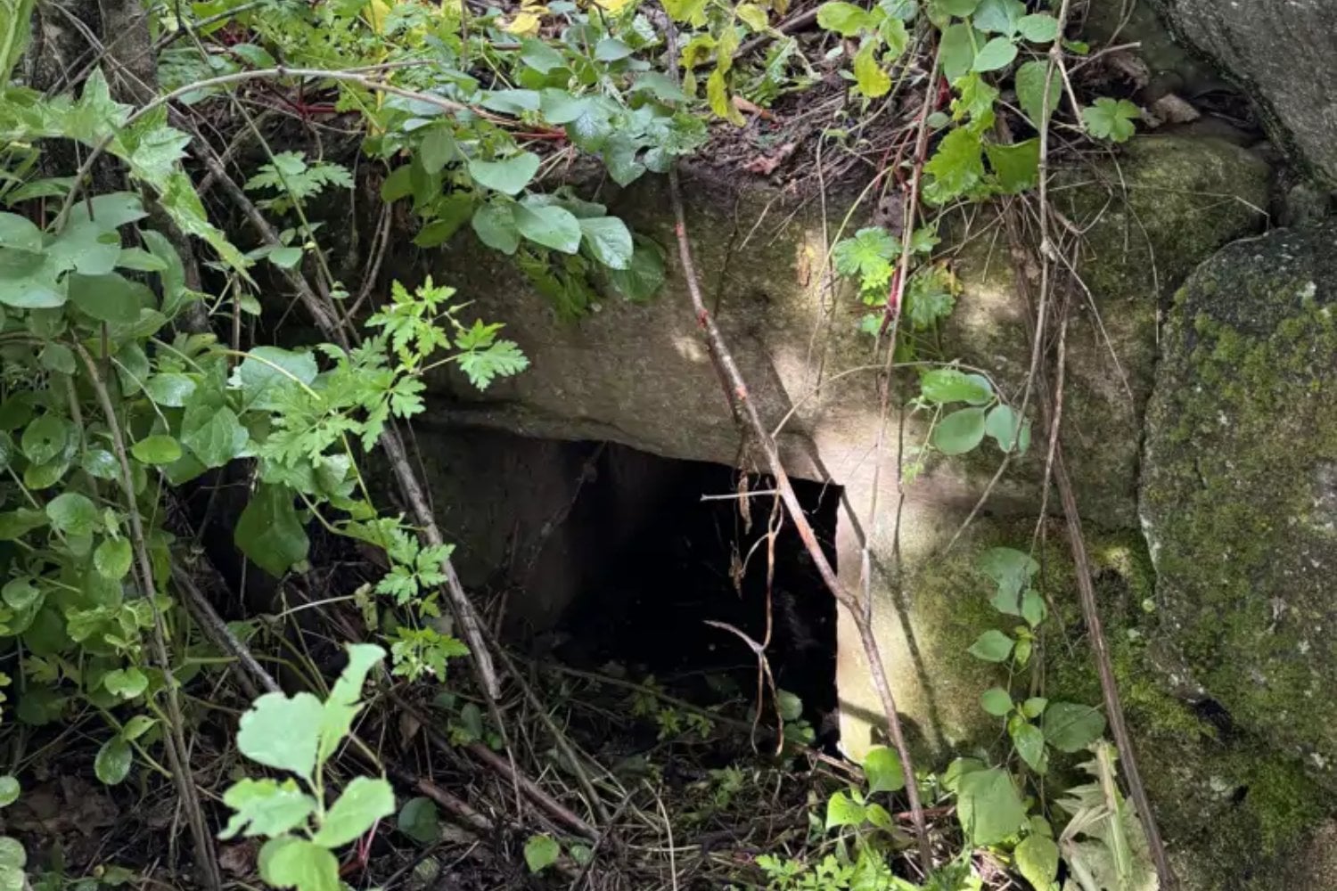 Una montaña de Cerdeña escondía bajo la maleza una puerta de piedra hacia la Edad del Bronce. Su extraña cámara de dos niveles abre una nueva pregunta sobre las Tumbas de los Gigantes