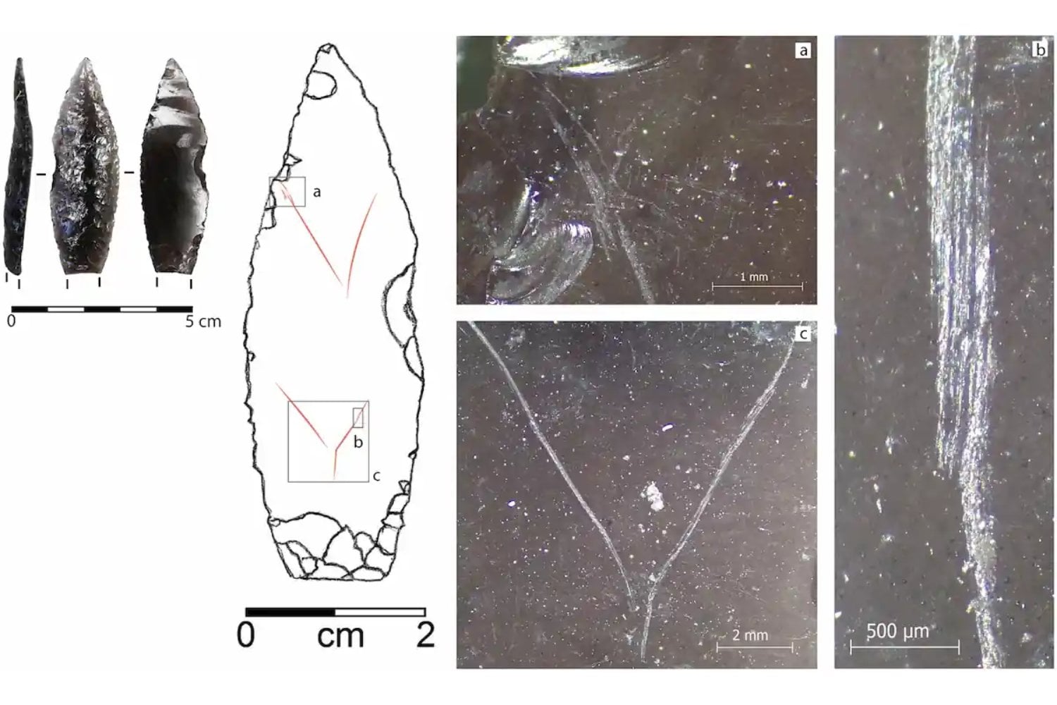 Alguien grabó símbolos diferentes en doce puntas de flecha hace 9.000 años. Ninguno se repite y los arqueólogos no saben si eran firmas, marcas de cazador o un mensaje perdido