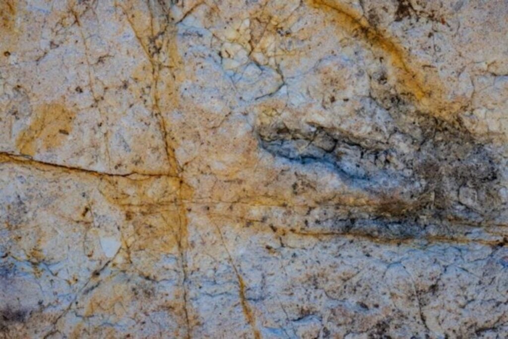 Encontraron huellas de dinosaurio en Canadá en 1988, pero el lugar era tan remoto que tardaron 34 años en regresar. Solo entonces descubrieron que pertenecían a un periodo del Cretácico casi borrado del mapa