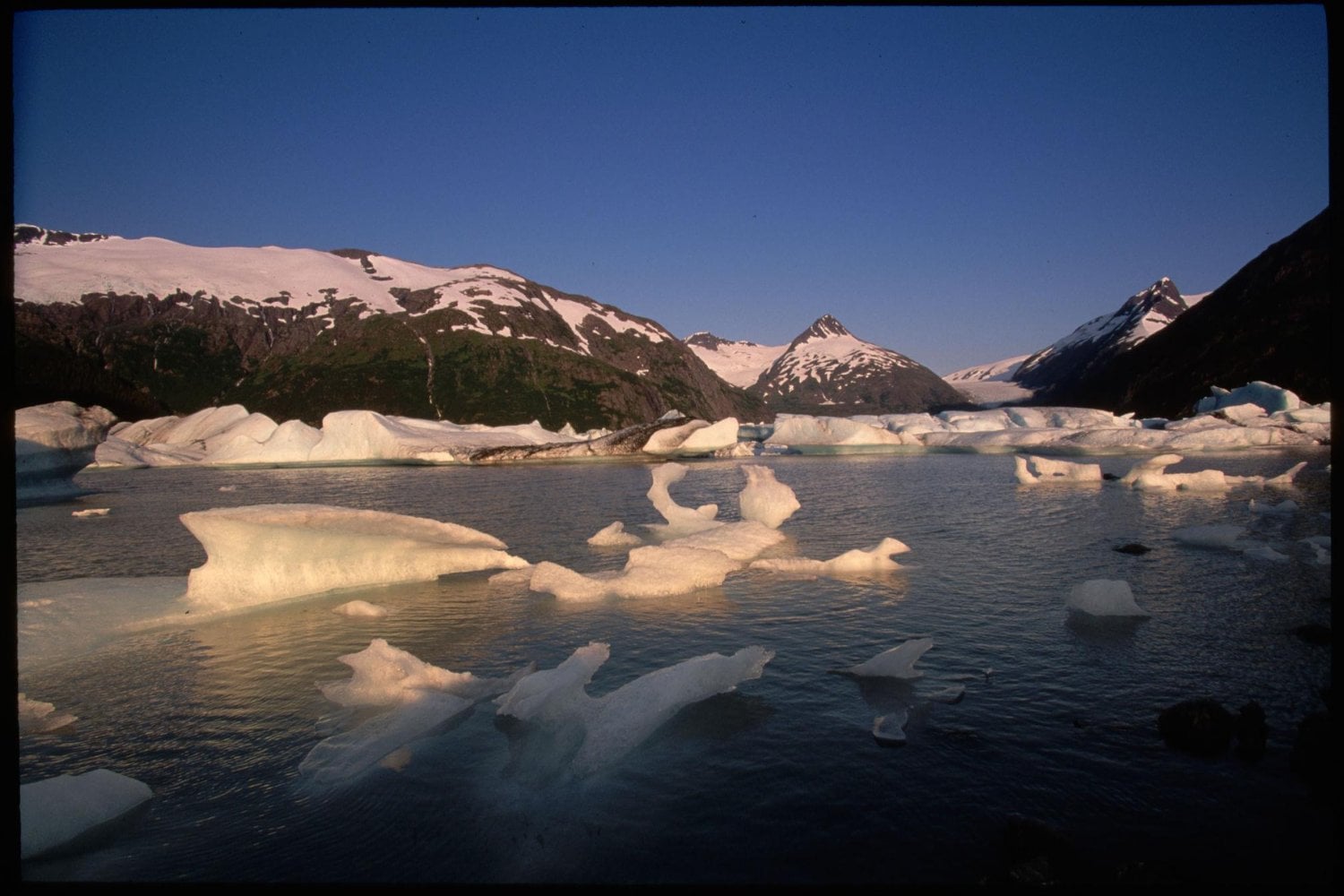 Arabia Saudí creyó que la solución a su falta de agua estaba flotando frente a la Antártida. En 1977 llevó una tonelada de hielo hasta Iowa para demostrar que no era una locura