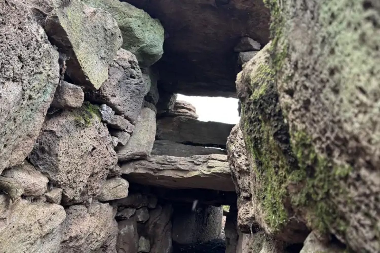 Una montaña de Cerdeña escondía bajo la maleza una puerta de piedra hacia la Edad del Bronce. Su extraña cámara de dos niveles abre una nueva pregunta sobre las Tumbas de los Gigantes
