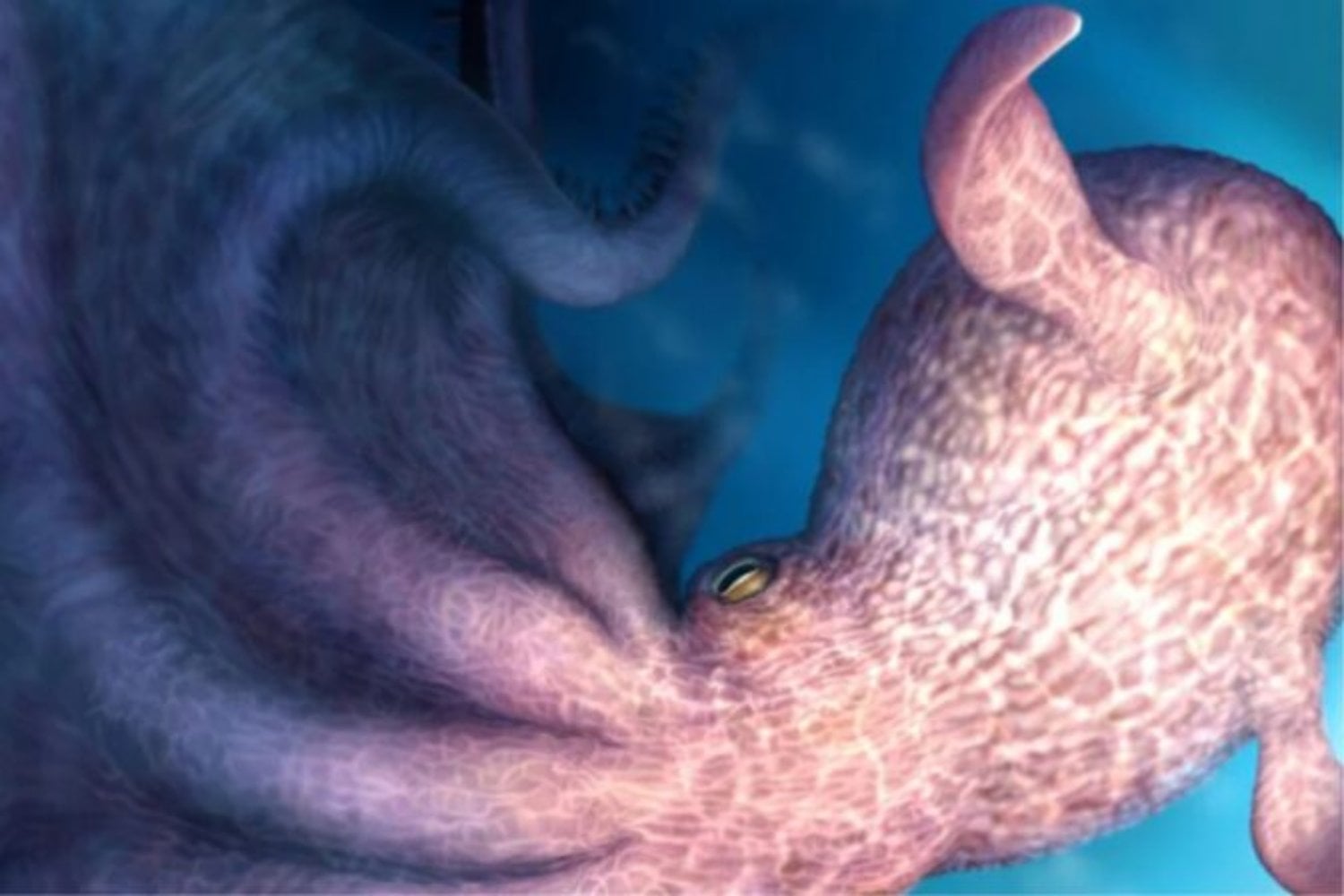 Los vertebrados parecían llevar 370 millones de años gobernando la cima del océano. Unas mandíbulas ocultas en roca acaban de revelar pulpos de hasta 19 metros que mordían como auténticos krakens