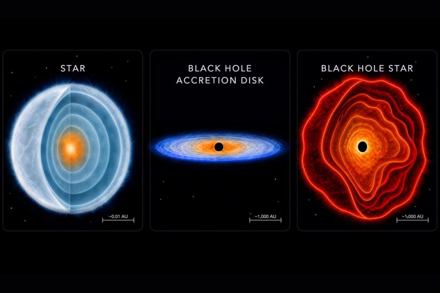 Webb encontró un punto rojo que parecía una estrella gigante en el universo primitivo. Al mirar dentro descubrió un agujero negro de 100.000 soles escondido en un capullo del tamaño del Sistema Solar