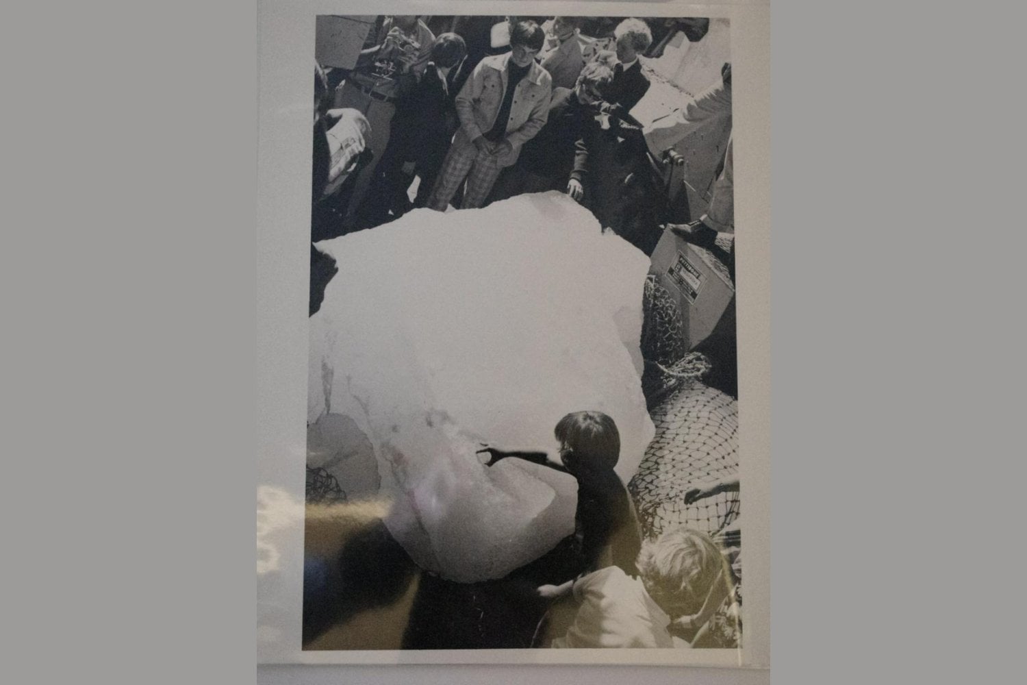 Arabia Saudí creyó que la solución a su falta de agua estaba flotando frente a la Antártida. En 1977 llevó una tonelada de hielo hasta Iowa para demostrar que no era una locura
